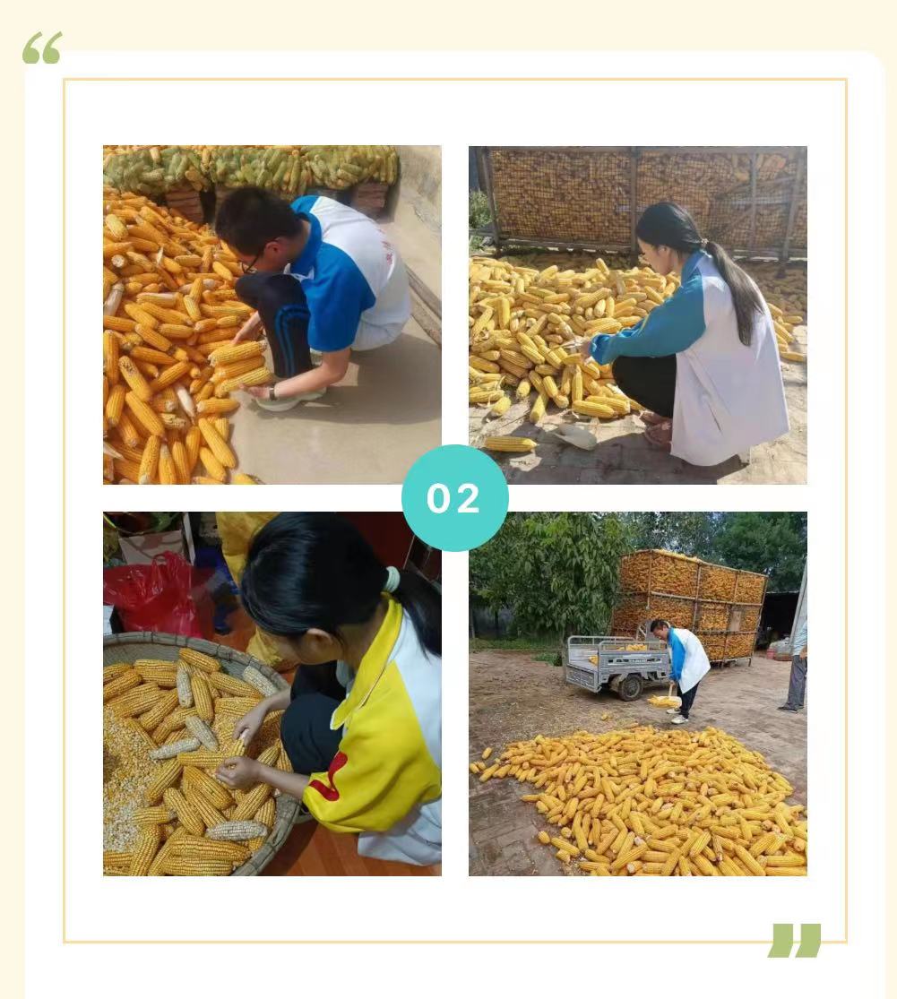 微信图片_20231116170053 微信图片_20231116170053