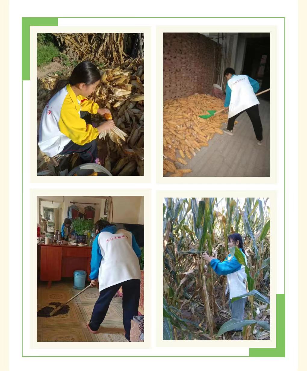 微信图片_20231116170103 微信图片_20231116170103