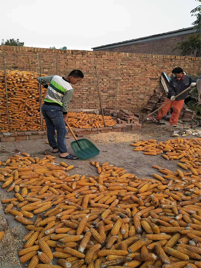 高一11班陈洋洋