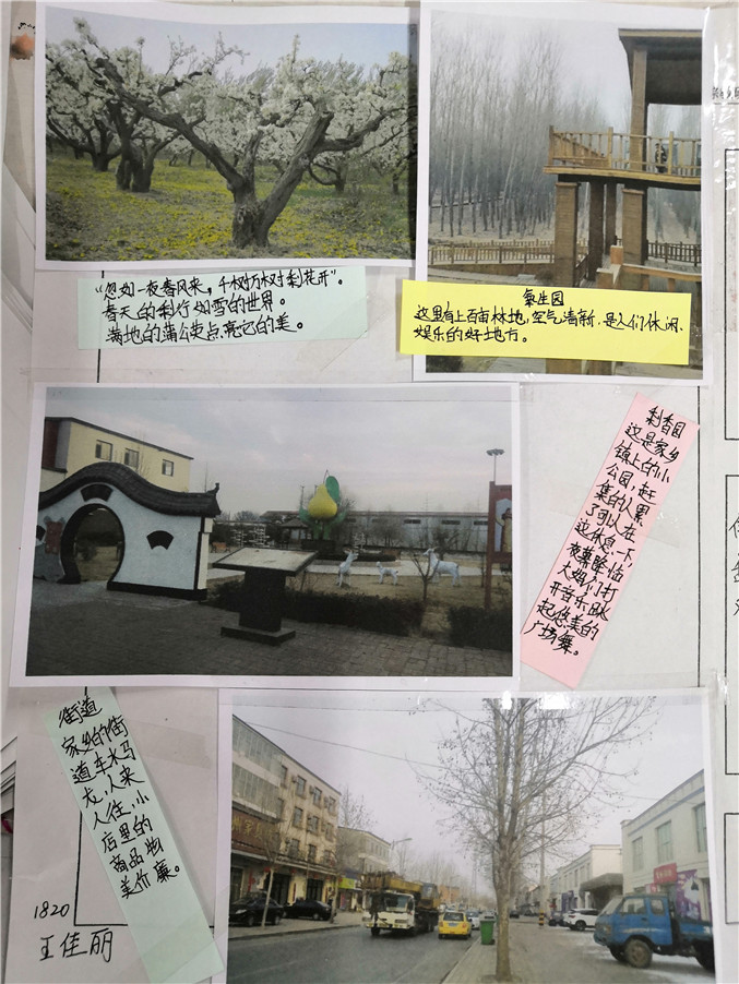 微信图片_20190226082801