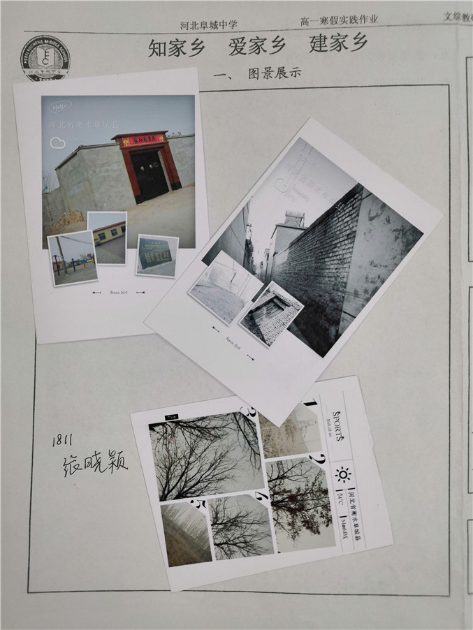 微信图片_20190226082753