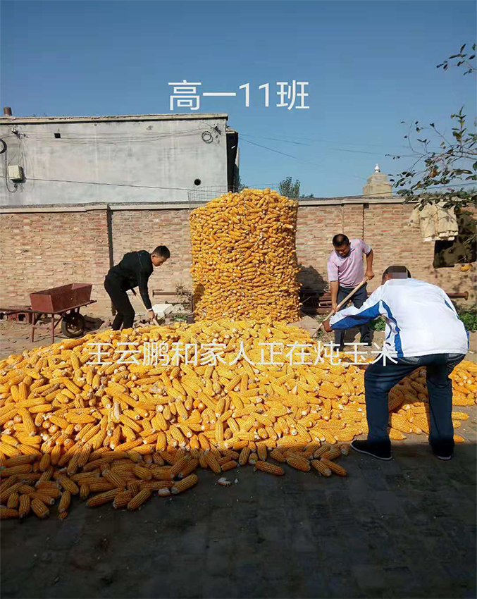 高一11班王云鹏