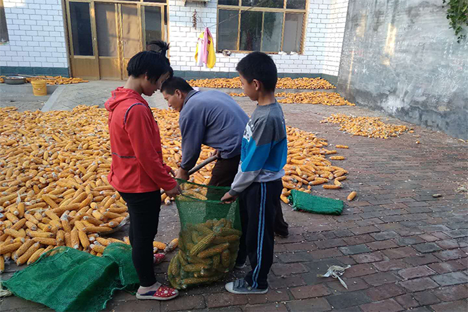 高一11班谭金玉